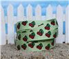 Order Summer Holiday Ribbon - Cherries Lime Juice